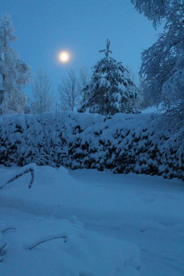 Villa Havula Ranua Dış mekan fotoğraf